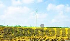 久久久久亚洲国产av麻豆-恭探国产影片，久久久久亚洲国产av麻豆——色情文化背后的社会镜像