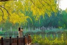 欧美国产一区二区三区-欧美国产一区二区三区的文化与艺术探索